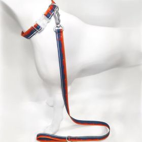Blue-Orange Gradient Dog Collar & Leash Set, Waterproof Wear-Resistant TPU, Transparent Quick-Release Buckle, for Small & Medium Dogs (size: S)